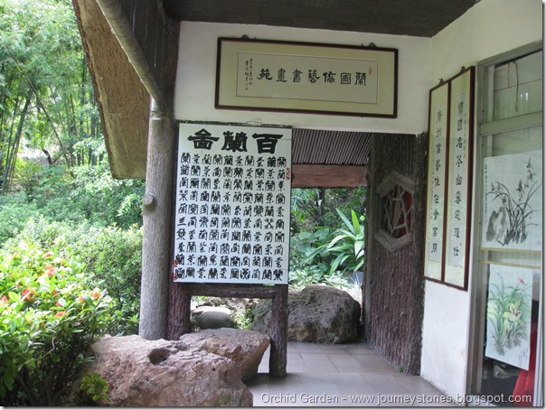 Orchid Garden (40)