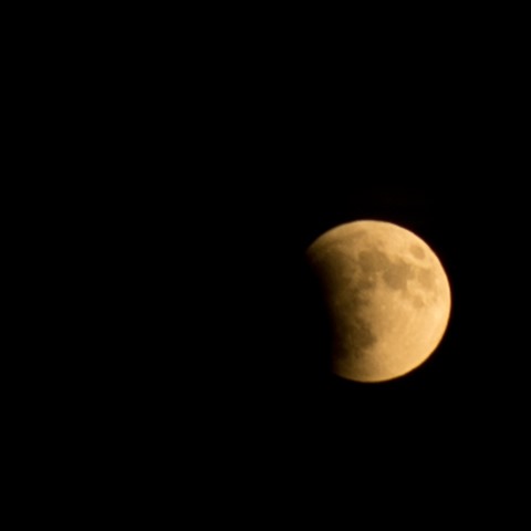 DSC_1446jpeg