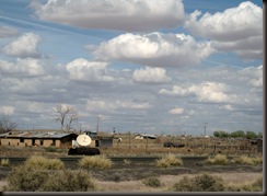 NM 2010 029