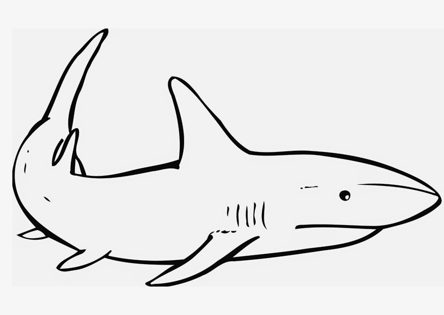 Download Coloring Page Shark Printable - 89+ File Include SVG PNG EPS DXF for Cricut, Silhouette and Other Machine