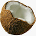 All The Benefits of Coconut