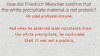 Now, how did Friedrich Miescher confirm that the white precipitate material is not protein