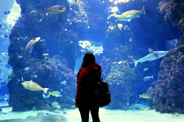 Musee Oceanographique de Monaco