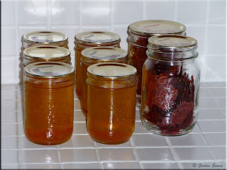 tomato stock and tomato wafers