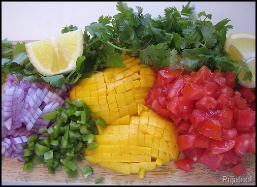 tomato mango salsa 004-crop v1