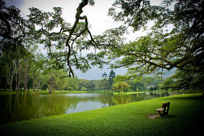 Taman Tasik Taiping