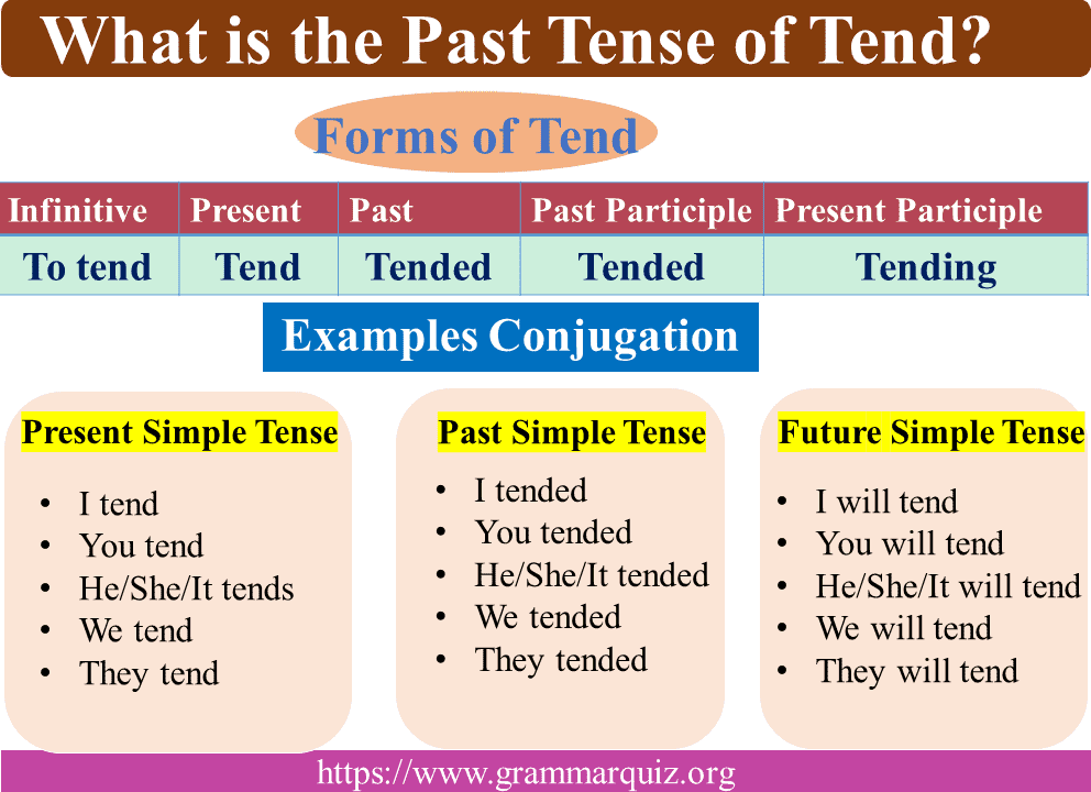What is the Past Tense of Tend Conjugation of Tend