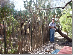 P1000550