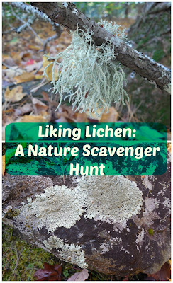 http://www.shareitscience.com/2016/12/lichen-nature-scavenger-hunt.html