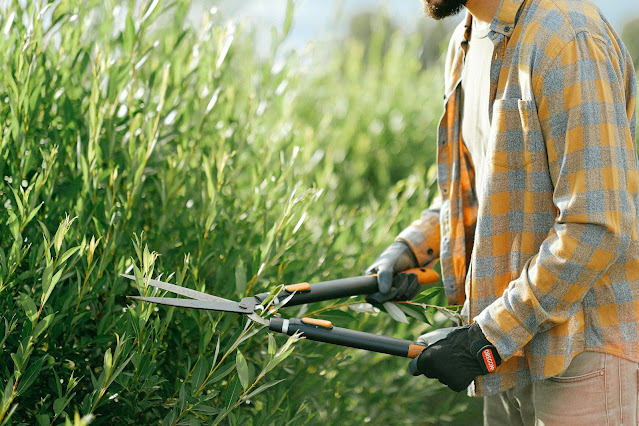 Penggunaan Bahan Organik dalam Berkebun: Menyulap Taman dengan Keceriaan