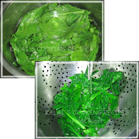 How To Make Palak Poori | Palak Puri | Spinach Poori | Spinach Puri Recipe - Indain Recipe