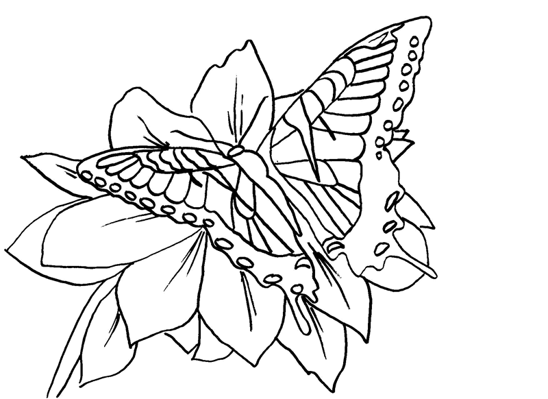 Heart Coloring Pages To Print