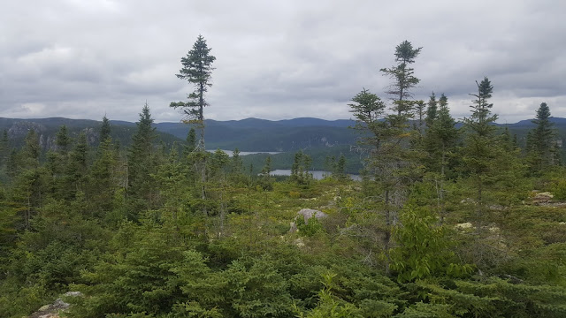 Vue à partir du sentier en direction vers le sommet Eudore-Fortin.