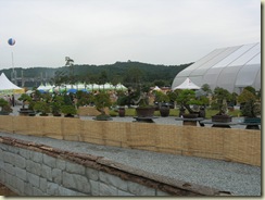 DSCN1302