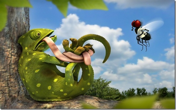 Imagini Haioase Pentru Desktop Imagini Web