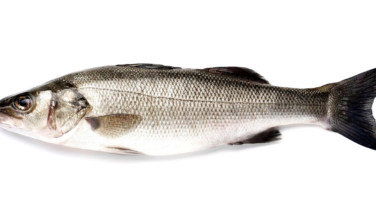 Fish fillet - Whole Fish