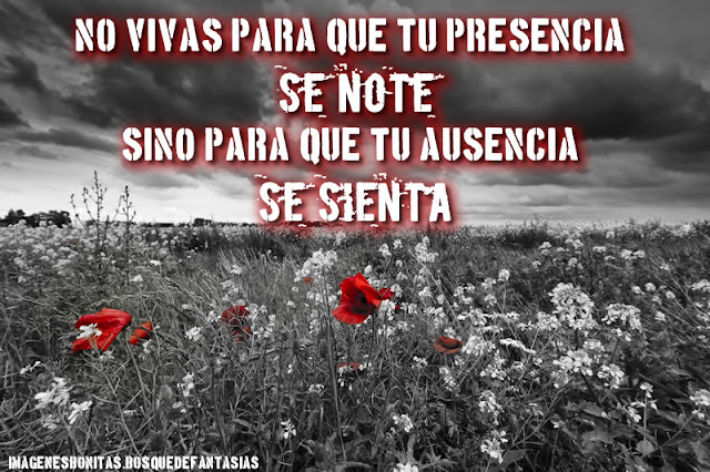 REFLEXIONES :  no vivas para que tu presencia se note sino para que tu ausencia se sienta