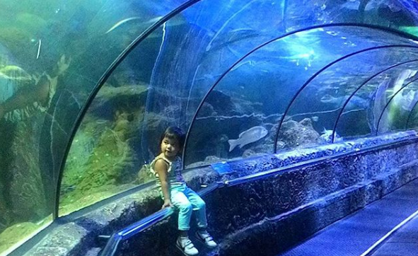 Sea World  Indonesia