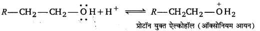 Solutions Class 11 रसायन विज्ञान Chapter-12 (कार्बनिक रसायन : कुछ आधारभूत सिद्धान्त तथा तकनीकें)