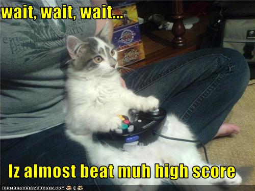 funny-pictures-cat-plays-video-game.jpg