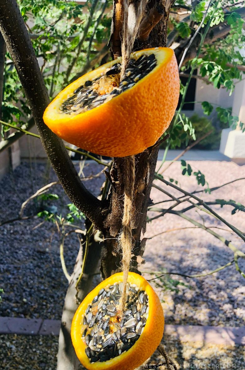 Orange homemade bird feeder