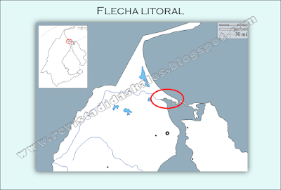 Flecha litoral en el estado Zulia