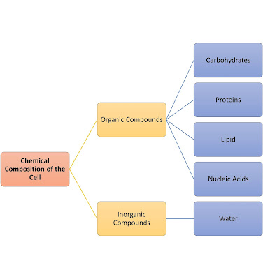 SPM Biology 4 Mind Map