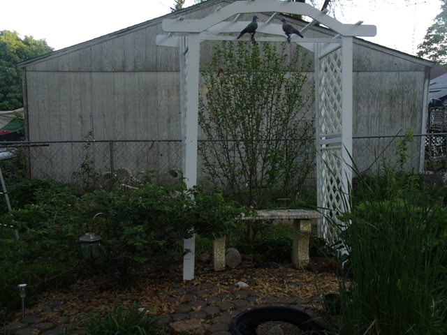 decorating arbor for a wedding dusky rose wedding decorations