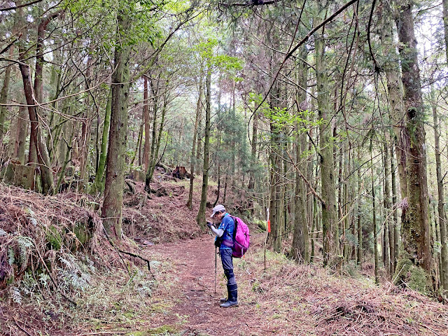 接上阿里山林道