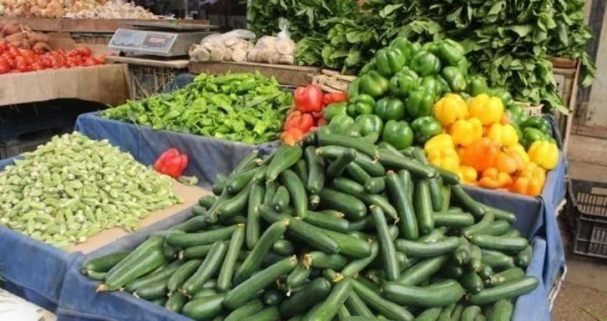 أسعار الخضروات والدجاج في أسواق غزة