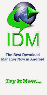 IDM Internet Download Manager 6.21 Build 14 Serial Keys Download