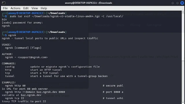 install Ngrok in kali linux