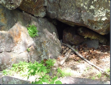 Cache2