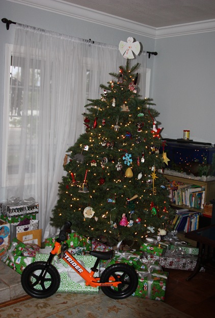 2012-12-25_013