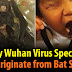 Coronavirus blamed on bat soup as pics emerge of people eating the Chinese delicacy (Video)