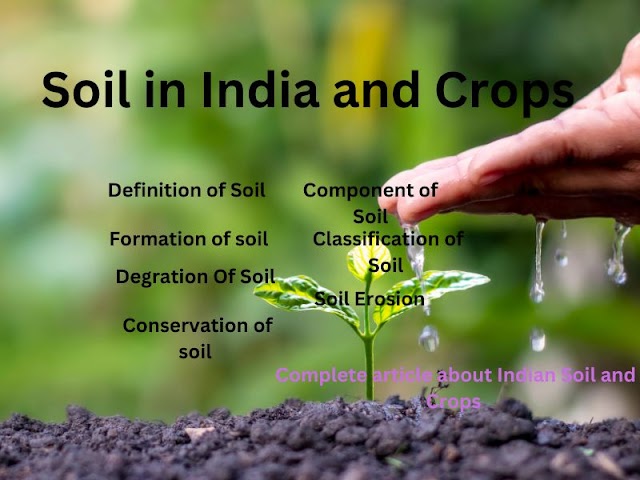 Soil In India and Crops 