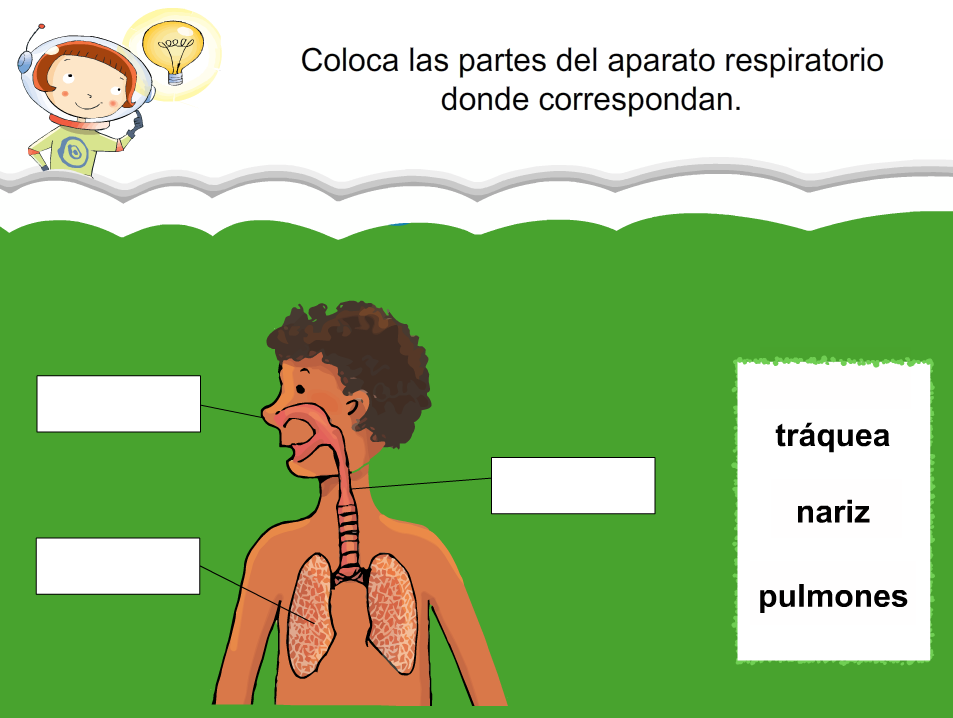 http://www.primerodecarlos.com/SEGUNDO_PRIMARIA/julio/activi_bromera/natura2/2/Natura2-U2-A1_cas.swf