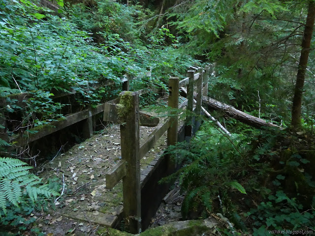 tree down on a bridge