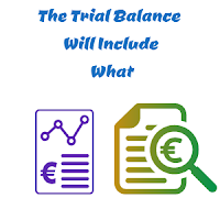 The Trial Balance Will Include What Kinds / Types Of Accounts