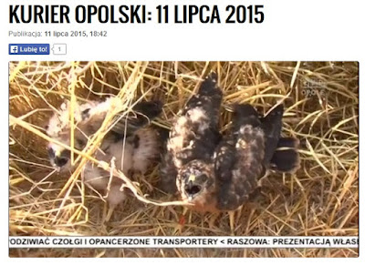 http://opole.tvp.pl/20804385/11-lipca-2015