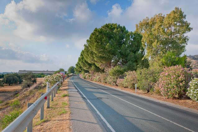 Paphos landscapes (photo_3)