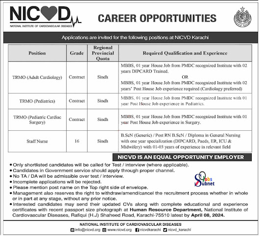 NICVD Karachi Job 2024