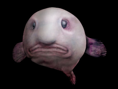 70以上 深海 魚 水圧 128586-深海 魚 水圧