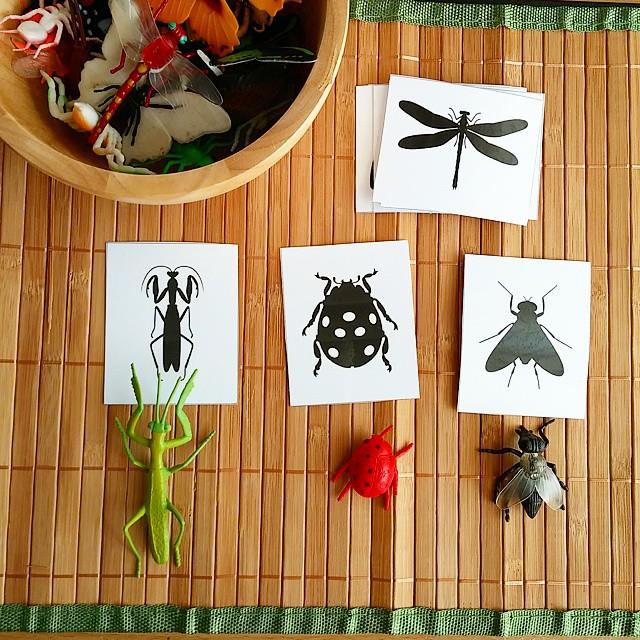 FREE Insects & Spider Silhouette Cards