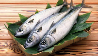 ikan sumber protein