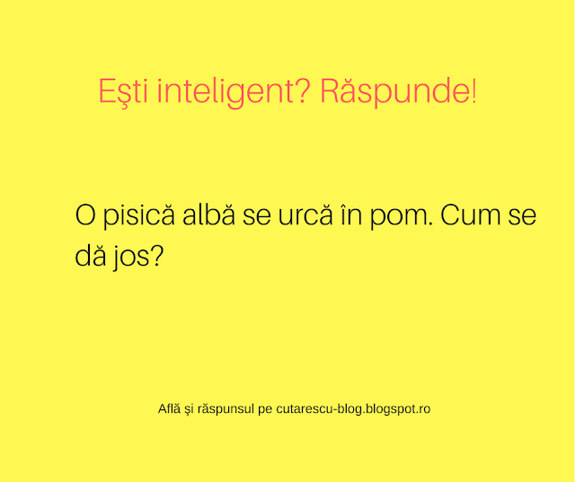 Ești inteligent? Răspunde! 