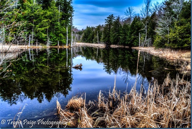 DSC_3853_4_5_6_7_8_tonemapped