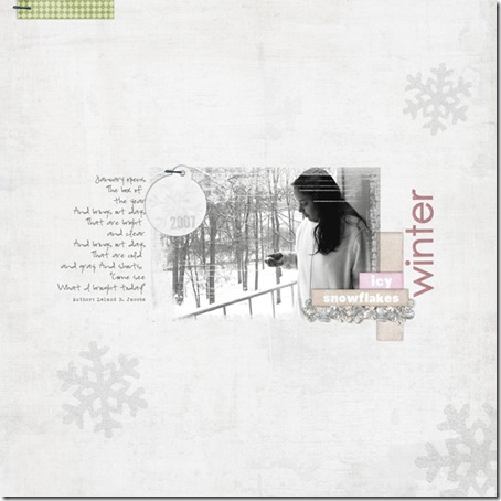 snow2_web