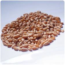 grains
