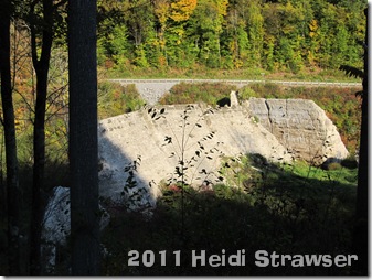 fall 2011 037